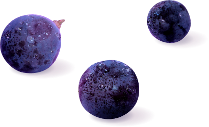 備中ぶどうの画像